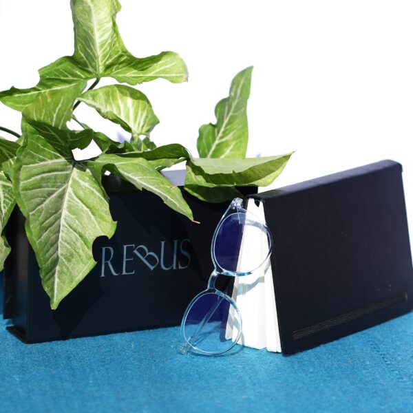 REBUS NATURAL TRANSCULENT GLASSES