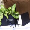 STANDARD BLACK SCREEN PROTECTION GLASSES