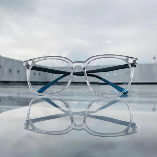 REBS Screen Protection Glasses - 503