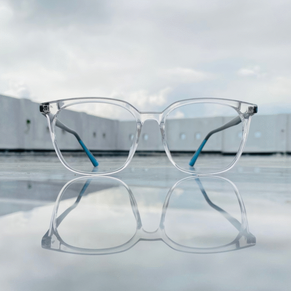 REBS Screen Protection Glasses - 503