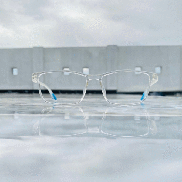 REBUS Screen Protection Glasses - 506